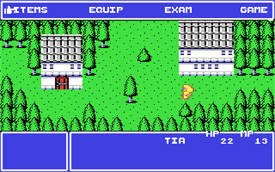 Penultimate Fantasy - Screenshot - Gameplay Image