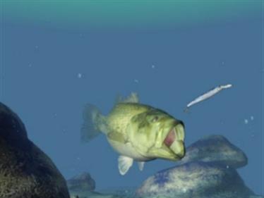 Bass Tsuri ni Ikou! Let's Go Bassfishing! - Screenshot - Gameplay Image