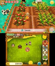 Story of Seasons: Trio of Towns - Screenshot - Gameplay Image