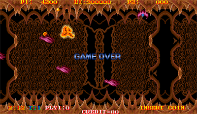 Turtle Ship - Screenshot - Game Over Image