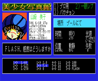 Bishoujo Shashinkan Special: The Double Vision - Screenshot - Gameplay Image