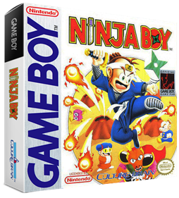 Ninja Boy - Box - 3D Image