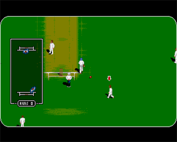 Graham Gooch World Class Cricket - Screenshot - Gameplay Image