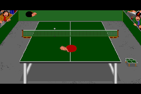 Table Tennis Simulation