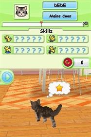 Petz Catz Playground - Screenshot - Gameplay Image