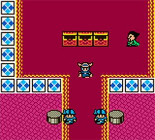 Dragon Warrior I & II - Screenshot - Gameplay Image