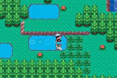 Pokémon Sapphire Version - Screenshot - Gameplay Image