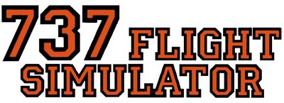 737 Flight Simulator - Clear Logo Image