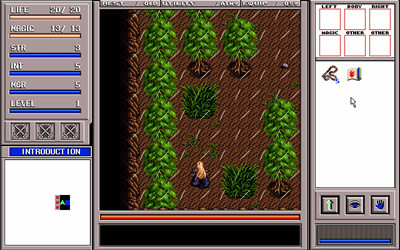 Brandish 3: Spirit of Balcan - Screenshot - Gameplay Image