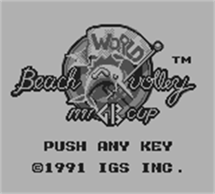 World Beach Volley: 1991 GB Cup - Screenshot - Game Title Image