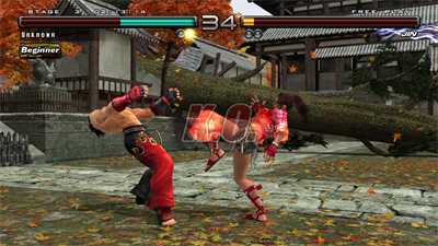 Tekken 5: Dark Resurrection Online - Screenshot - Gameplay Image
