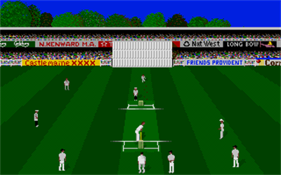 Championship Cricket - Screenshot - Gameplay Image