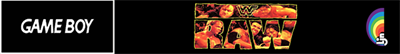 WWF Raw - Banner Image