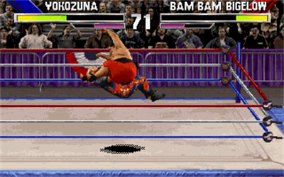 WWF WrestleMania: The Arcade Game - Screenshot - Gameplay Image