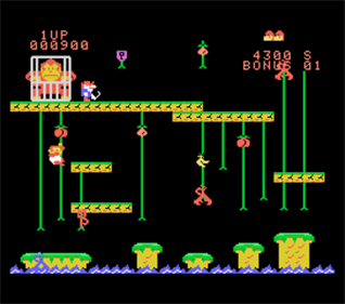 Donkey Kong Jr - Screenshot - Gameplay Image