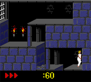 Prince of Persia - Screenshot - Gameplay Image