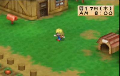 Bokujou Monogatari: Harvest Moon for Girl - Screenshot - Gameplay Image