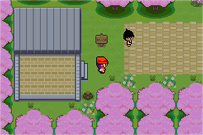 Pokémon Dark Rising II - Screenshot - Gameplay Image