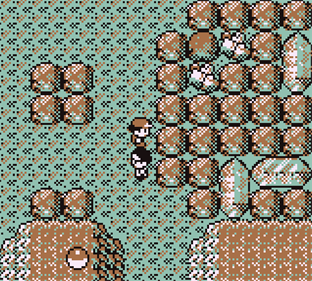 Pokémon Brown Version - Screenshot - Gameplay Image