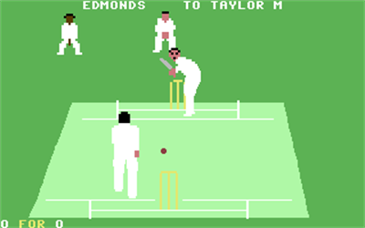 Graham Gooch's All Star Cricket - Screenshot - Gameplay Image