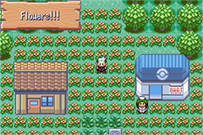 Pokémon Derp Emerald - Screenshot - Gameplay Image