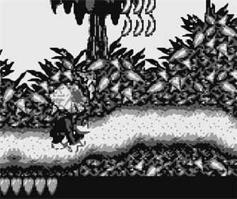 Donkey Kong Land - Screenshot - Gameplay Image
