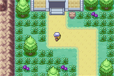 Pokémon Fuligin - Screenshot - Gameplay Image