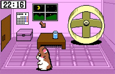 Dokodemo Hamster 3: Odekake Saffron - Screenshot - Gameplay Image