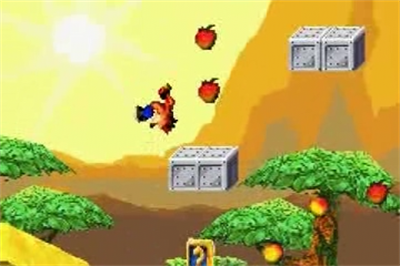 Crash & Spyro Superpack: Spyro Orange: The Cortex Conspiracy / Crash Bandicoot Purple: Ripto's Rampage - Screenshot - Gameplay Image