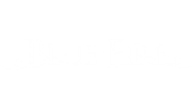 Blue Fire - Clear Logo Image