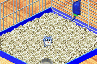 Hamster Monogatari 2 GBA - Screenshot - Gameplay Image