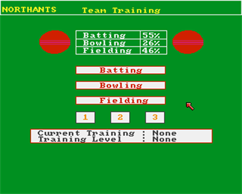Cricket Masters - Screenshot - Gameplay Image