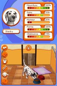 La Vie d'Emma: Ma Clinique pour Chiens - Screenshot - Gameplay Image