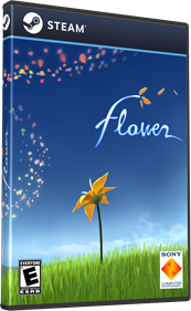 Flower - Box - 3D Image