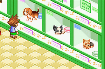 Dogz - Screenshot - Gameplay Image