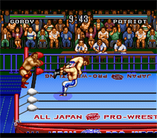 Natsume Championship Wrestling - Screenshot - Gameplay Image