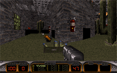 Duke Assault - Screenshot - Gameplay Image