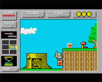 Super Wonder Boy in Monsterland - Screenshot - Gameplay Image