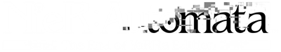 NieR:Automata: The End of YoRHa Edition - Clear Logo Image