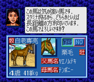 Winning Post - Screenshot - Gameplay Image