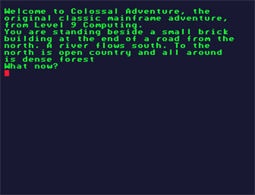Colossal Adventure - Screenshot - Gameplay Image