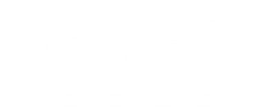 Thief Gold - Clear Logo Image