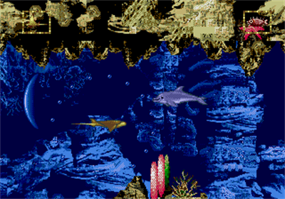 Ecco Jr. - Screenshot - Gameplay Image