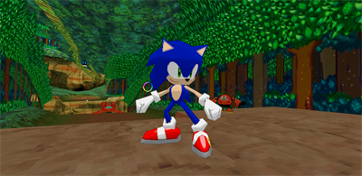 Sonic Rush 3D - Screenshot - Gameplay Image