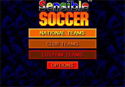 Championship Soccer '94 - Screenshot - Game Title Image