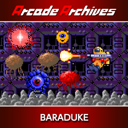 Arcade Archives BARADUKE