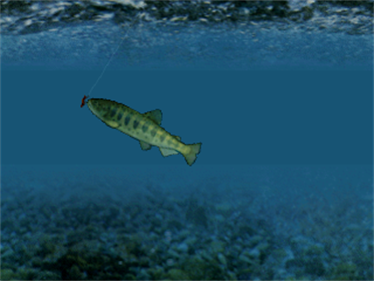 Reel Fishing - Screenshot - Gameplay Image