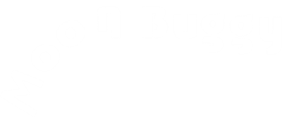 Moon Buggy (Anirog Software) - Clear Logo Image
