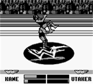 WWF War Zone - Screenshot - Gameplay Image