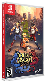 Double Dragon Gaiden: Rise Of The Dragons - Box - 3D Image